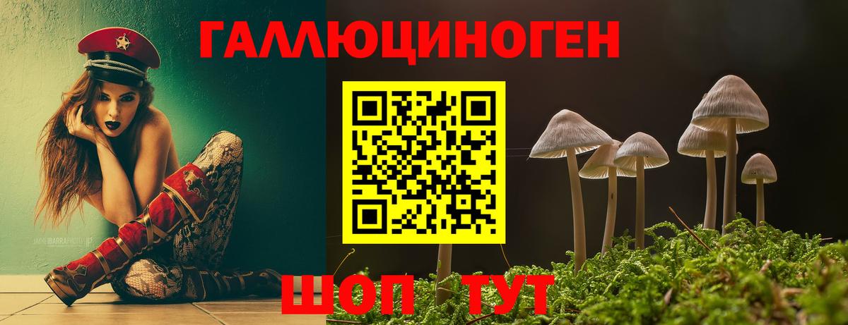 как найти наркотики  Вход с VPN  Шелехов  Галлюциногенные грибы Psilocybine cubensis 